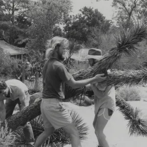 Mike Shobe, Clyde Snider, David Kershaw working with plants in Desert Section