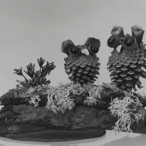 Garden Guild 'Owls' artwork