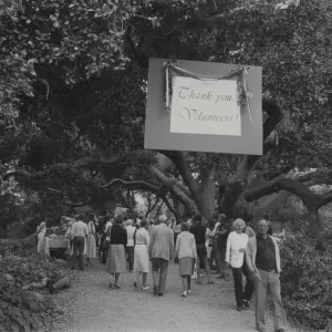 Volunteer Luncheon under the Meadow Oaks (Coastal Live Oak)