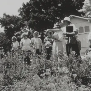 Docent Tour of Home Demonstration Garden California Poppy