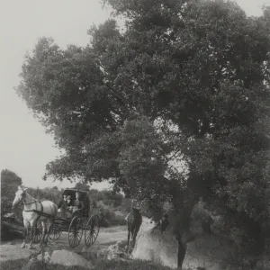 Split Rock, Mission Canyon