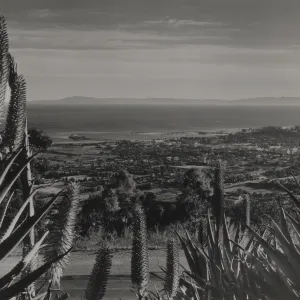 Santa Barbara and Santa Barbara Harbor from the Riviera