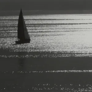 sailboat in the Santa Barbara Channel