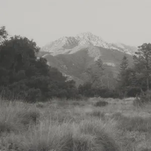 SBBG Meadow and view of Arlington Peak
