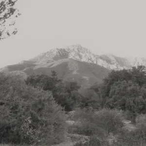 SBBG Porter trail and view to Arlington Peak