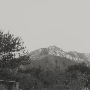 view of La Cumbre & Arlington Peaks from SBBG Porter Trail and chip pile