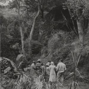 Kinevan's Canyon, Santa Ynez Mountains