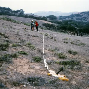 vegetation transect on Channel Islands