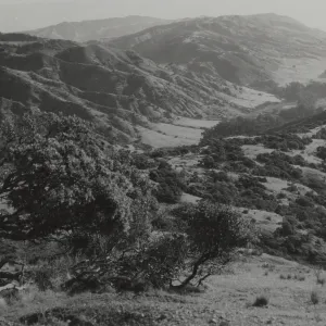 Santa Cruz Island, Central Valley