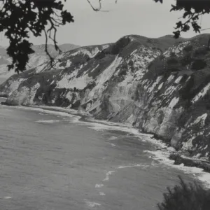 Santa Cruz Island Preserve