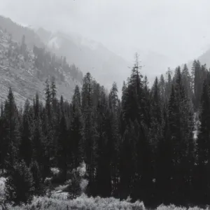 southern Sierra wilderness