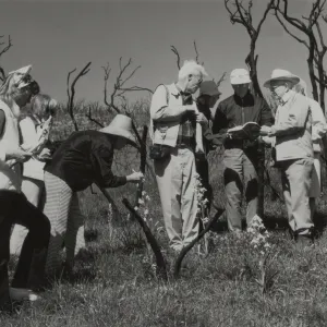 field trip to Malibu burn 1982, © J.R. Haller