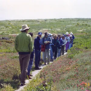 Visitor tour on Anacapa Island