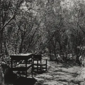 The first Library at SBBG, circa 1920s to 1930s
