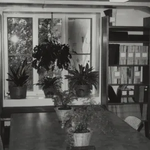 Muller Reading Room interior