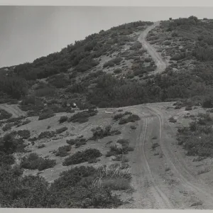 Monte Arido fuel break