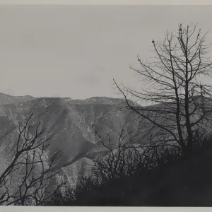 Sierra Madre Mountains, post-fire
