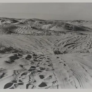 'Modern recreation on dunes at Surf'