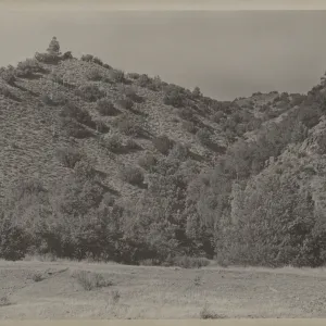 chaparral, Santa Barbara Canyon?