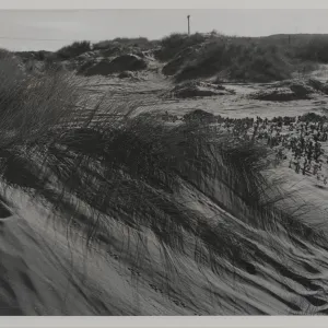 windswept sand dune, Surf