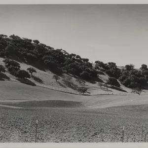 rangeland, Santa Ynez Valley