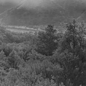 View of River, Near Cox Flat?
