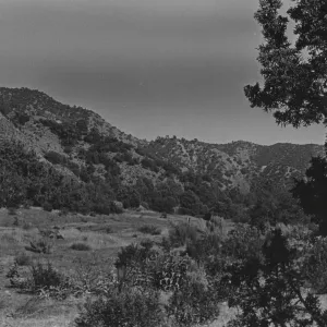 fringes of pinyon-juniper woodland about Santa Barbara Canyon in the upper Cuyama Valley watershed