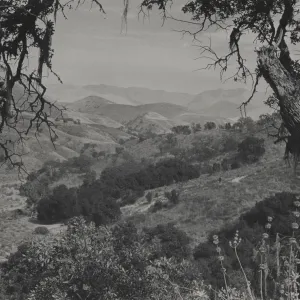 Lower Sisquoc River, with the Sierra Madre in background, Blue Oak and Coast Live Oak woodland