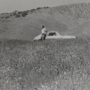 Clif Smith?, Sierra Madre Potreros