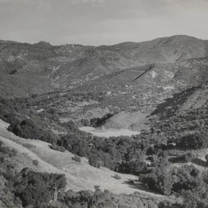 Flores Flats on Santa Cruz Creek, Mission Pine on horizon (upper left)