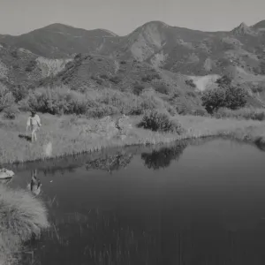 Turtle pool below Little Pint Mountain, above Oso creek