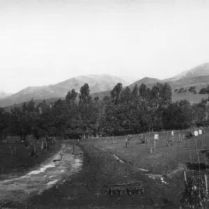 Historic photo of Hay Hill, Torocado Ranch