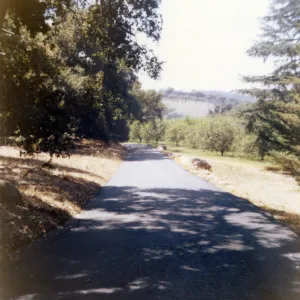 Historic photo of Hay Hill, Torocado Ranch