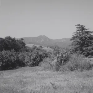 Historic photo of Hay Hill