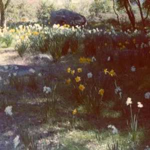 Historic photo of Hay Hill