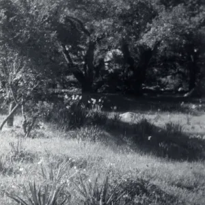 Historic photo of Hay Hill