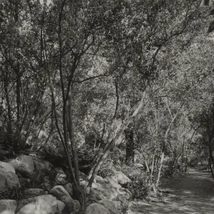 Canyon trail, location?