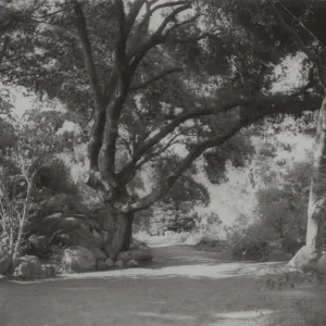 Canyon trail, Mission Canyon