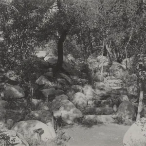 Arroyo, steps to Historic Ceanothus Trail
