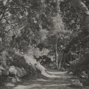 SBBG Canyon Trail, Mission Canyon