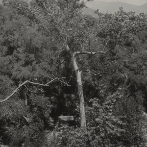 view of Mission Creek from above Mission Dam
