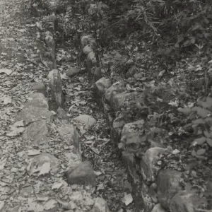 old Mission Aqueduct along Canyon Trail