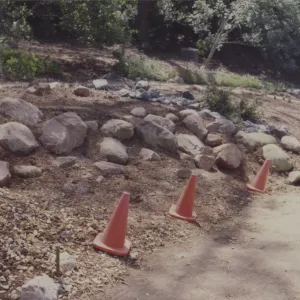 layout of new Dudleya display, 1993