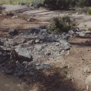 layout of new Dudleya display, 1993