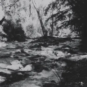 Mission Creek, Redwood Section