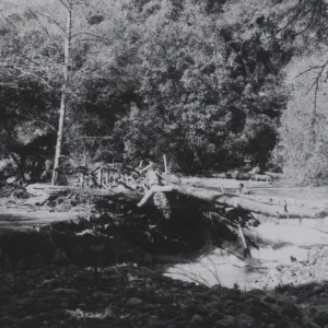 flood debris collected on top of Mission Dam, 1969