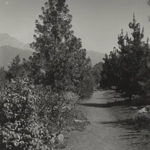 old Island Trail, 1930's
