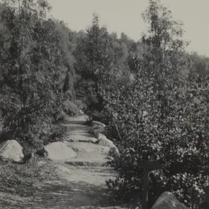 old Island Trail, 1930's