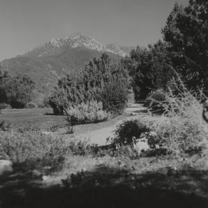 east side of Meadow