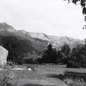 Meadow, 1958